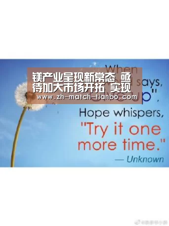 镁产业呈现新常态 亟待加大市场开拓 实现转型升级:天博体育官网下载安装(图1) 天博体育官网下载安装