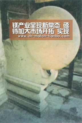 镁产业呈现新常态 亟待加大市场开拓 实现转型升级:天博体育官网下载安装(图2) 天博体育官网
