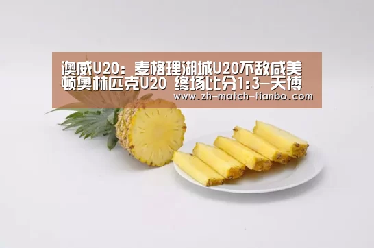 澳威U20: 麦格理湖城U20不敌咸美顿奥林匹克U20 终场比分1:3-天博体育官网下载安装(图2) 天博体育官网下载安装